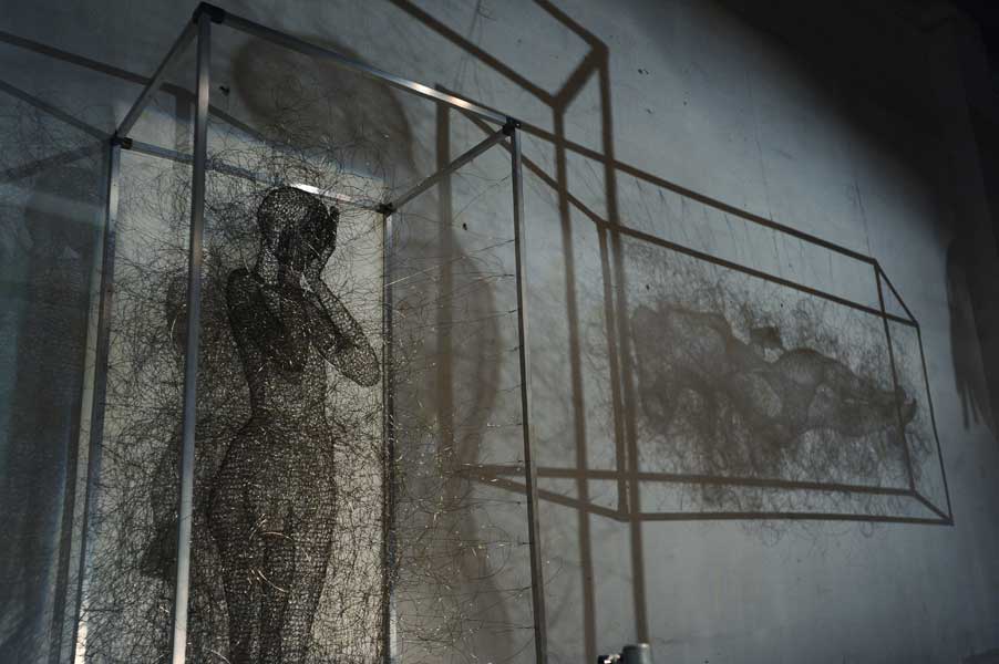 Reflection on the wall of wire sculptures Nadia Zubareva.