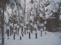 spiritual room, Rumen Dimitrov, Bulgaria