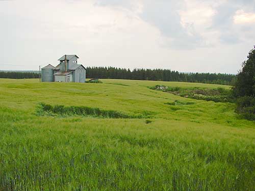 An old grain warehouse on the fields around Saksala.