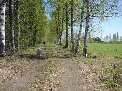 The surroundings of Saksala are inviting for walking and biking.