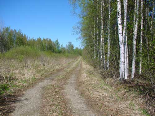 There are many old roads around Saksala.