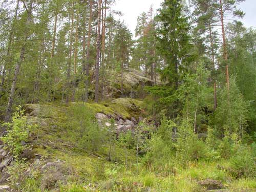 Rocks from the glacial period can be found everywhere.