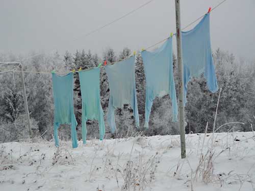 Still life in winter
