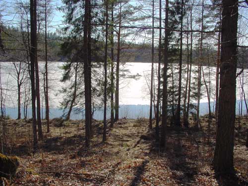 the lake kyyvesi at the end of the winter